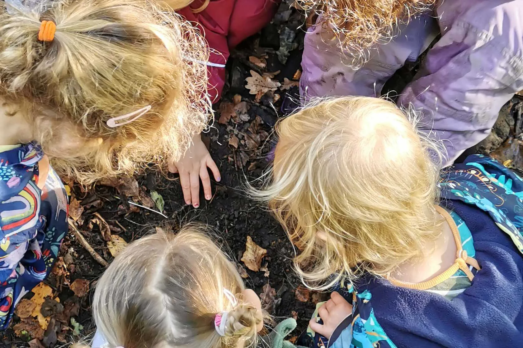 Greatwood cottage playing in leaves