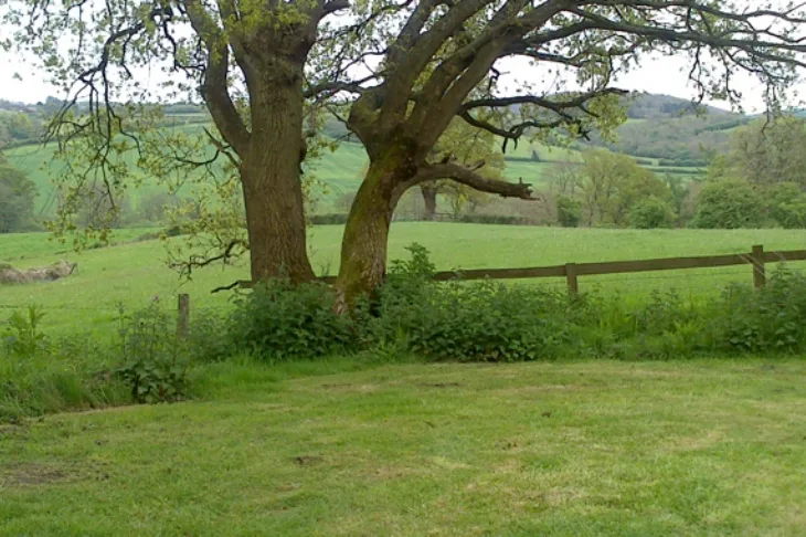 Greatwood cottage setting