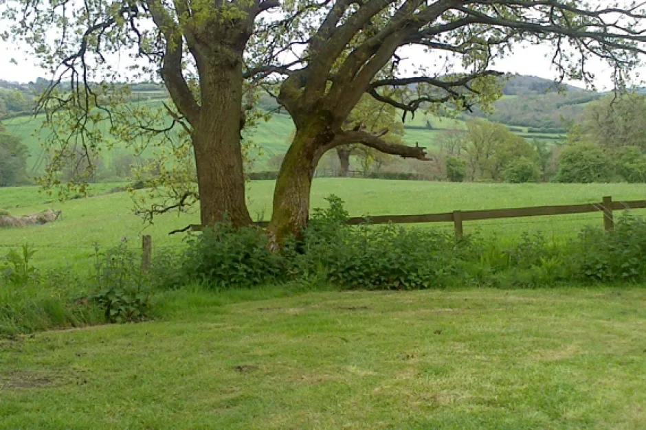 Greatwood cottage setting
